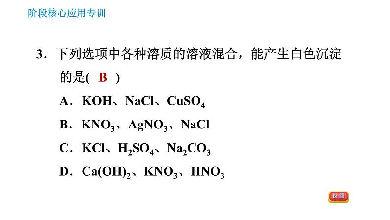 人教版九年级下册化学习题课件 第11单元 阶段核心应用专训 复分解反应的应用06