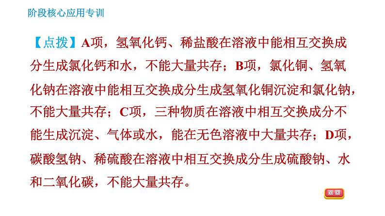 人教版九年级下册化学习题课件 第11单元 阶段核心应用专训 复分解反应的应用08