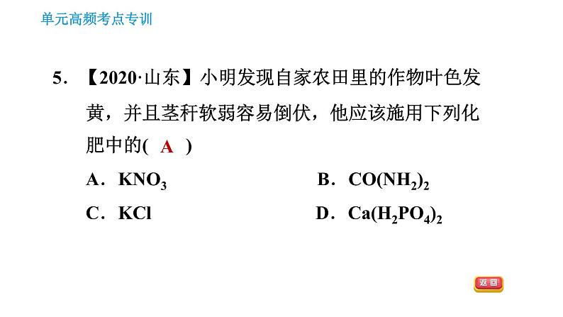 人教版九年级下册化学习题课件 第11单元 单元高频考点专训第7页