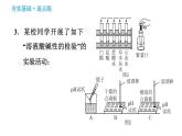 人教版九年级下册化学习题课件 第10单元 实验活动7 溶液酸碱性的检验