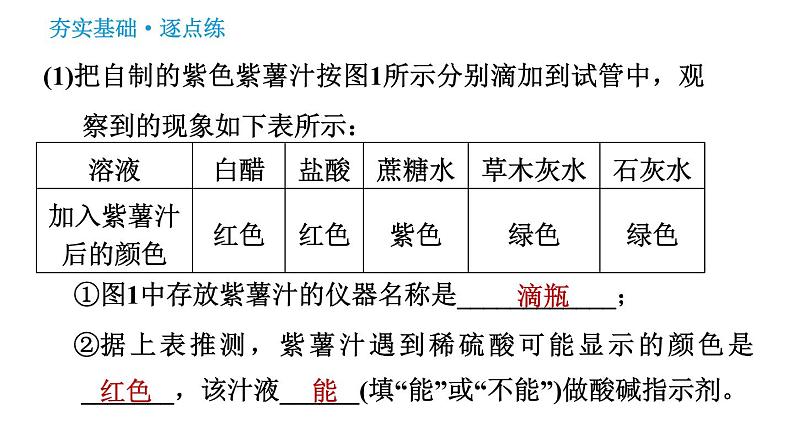 人教版九年级下册化学习题课件 第10单元 实验活动7 溶液酸碱性的检验第6页