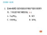 人教版九年级下册化学习题课件 第11单元 11.2 化学肥料
