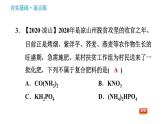 人教版九年级下册化学习题课件 第11单元 11.2 化学肥料