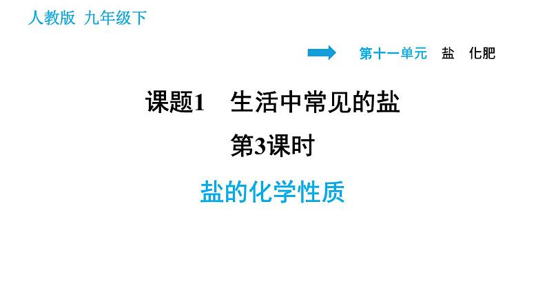 人教版九年级下册化学习题课件 第11单元 11.1.3 盐的化学性质第1页