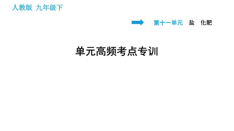 人教版九年级下册化学习题课件 第11单元 单元高频考点专训第1页