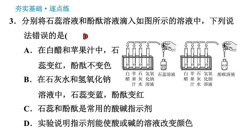 人教版九年级下册化学习题课件 第10单元 10.1.1 酸碱与酸碱指示剂作用05