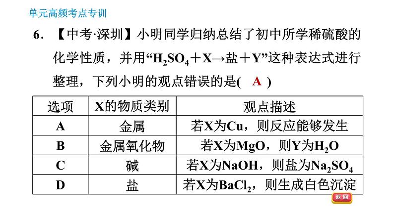 人教版九年级下册化学习题课件 第10单元 单元高频考点专训第8页