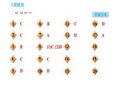 人教版九年级下册化学 第9单元 习题课件