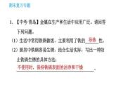 沪教版九年级下册化学课件 期末复习 专题6 实验探究