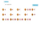 沪教版九年级下册化学课件 第6章 6.1.2 物质溶解过程中的能量变化 水溶液的某些性质