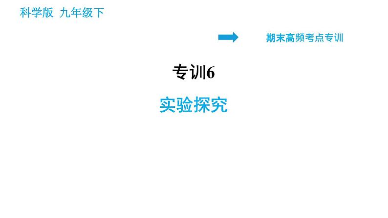 科学版九年级下册化学课件 期末专训 专训6 实验探究01