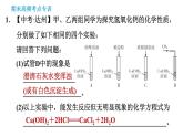 科学版九年级下册化学课件 期末专训 专训6 实验探究