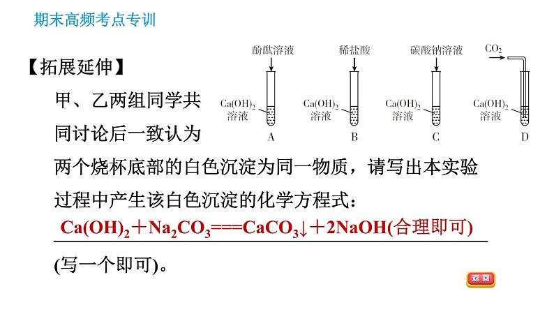 科学版九年级下册化学课件 期末专训 专训6 实验探究05