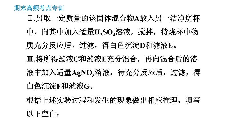 科学版九年级下册化学课件 期末专训 专训5 物质的推断第6页