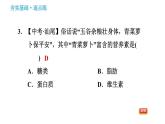 科学版九年级下册化学课件 第9章 9.4.1 食物中的营养素