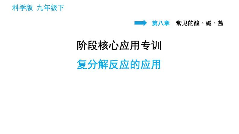 科学版九年级下册化学课件 第8章 阶段核心应用专训 复分解反应的应用第1页