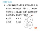 科学版九年级下册化学课件 第8章 8.1 溶液的酸碱性