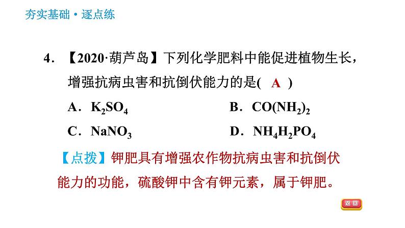 科学版九年级下册化学课件 第8章 8.5 化学肥料06