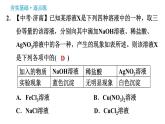 科学版九年级下册化学课件 第8章 8.4.2 盐的化学性质和复分解反应发生的条件