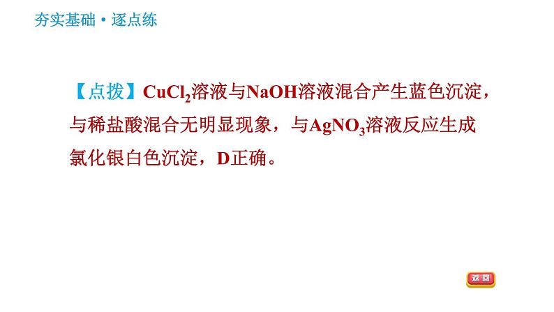 科学版九年级下册化学课件 第8章 8.4.2 盐的化学性质和复分解反应发生的条件05