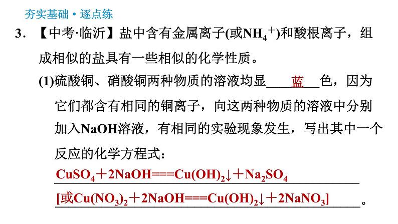 科学版九年级下册化学课件 第8章 8.4.2 盐的化学性质和复分解反应发生的条件06