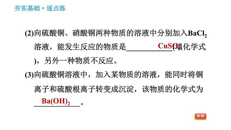 科学版九年级下册化学课件 第8章 8.4.2 盐的化学性质和复分解反应发生的条件07