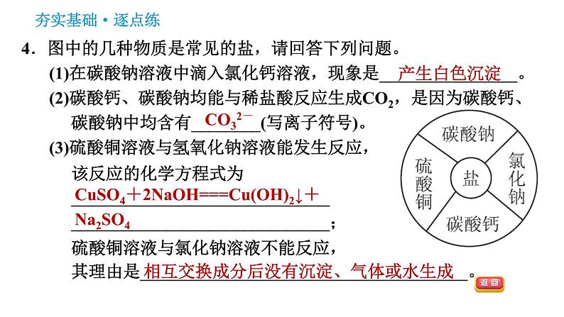 科学版九年级下册化学课件 第8章 8.4.2 盐的化学性质和复分解反应发生的条件08