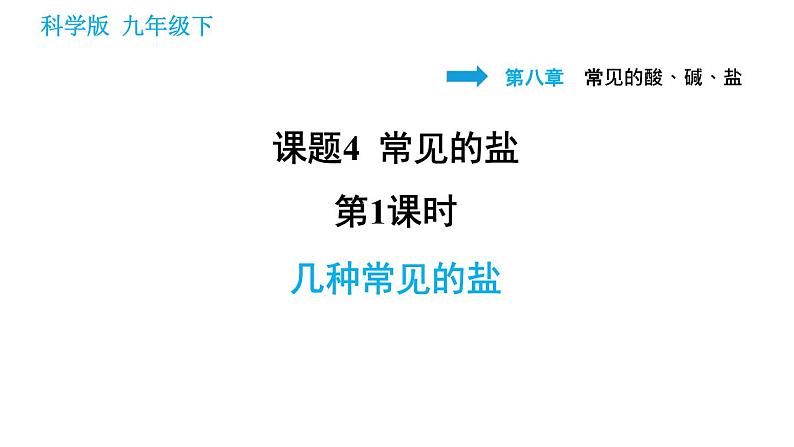 科学版九年级下册化学课件 第8章 8.4.1 几种常见的盐第1页