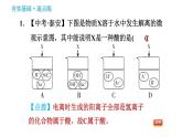 科学版九年级下册化学课件 第8章 8.3 酸和碱的反应