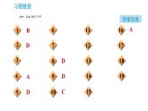 科学版九年级下册化学课件 第6章 实验四　金属的物理性质和化学性质