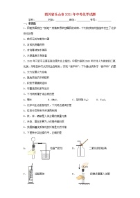 四川省乐山市2021年中考化学真题模拟试题