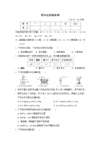 人教版九年级下册化学 期末达标检测卷