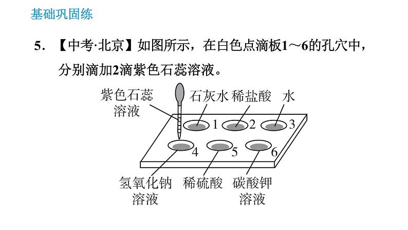 沪教版九年级下册化学课件 第7章 7.1 溶液的酸碱性第7页