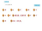 沪教版九年级下册化学课件 第8章 8.1 什么是有机化合物