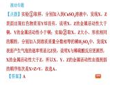 沪教版九年级下册化学课件 第7章 滚动专题(二)  金属活动性顺序的探究及其应用