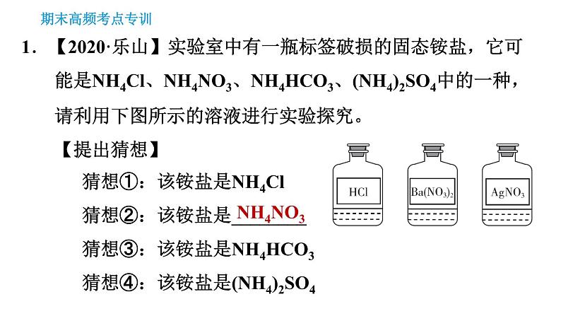 人教版九年级下册化学习题课件 期末考点 专训6 实验探究第3页