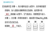 人教版九年级下册化学习题 期末考点专训 习题课件