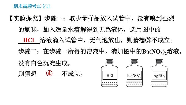 人教版九年级下册化学习题课件 期末考点 专训6 实验探究第4页