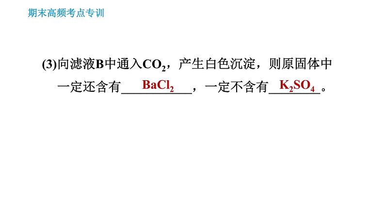 人教版九年级下册化学习题课件 期末考点 专训5 物质的推断第7页