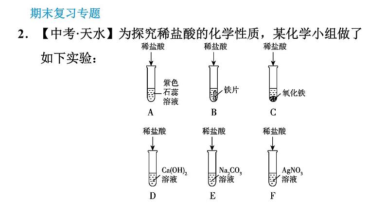 沪教版九年级下册化学 期末专题复习 习题课件07