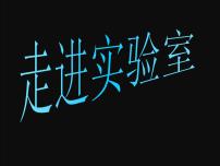 化学九年级上册课题3 走进化学实验室教学ppt课件