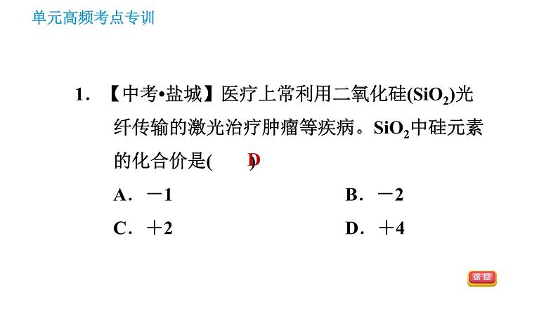 鲁教五四版八年级化学课件 第3单元 单元高频考点专训 专训3 化学式与化合价03