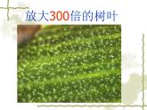 2020-2021学年人教版化学九年级上册分子和原子课件(汇报课)