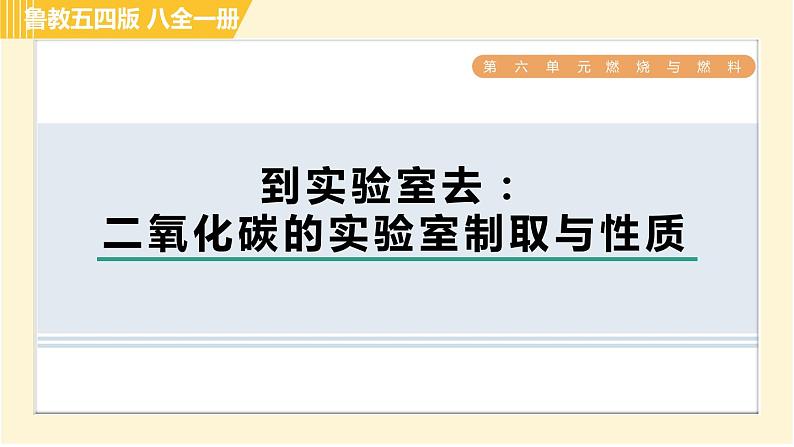 鲁教五四版八年级全一册化学习题课件 第6单元 到实验室去：二氧化碳的实验室制取与性质01