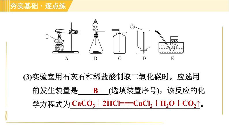 鲁教五四版八年级全一册化学习题课件 第6单元 到实验室去：二氧化碳的实验室制取与性质05