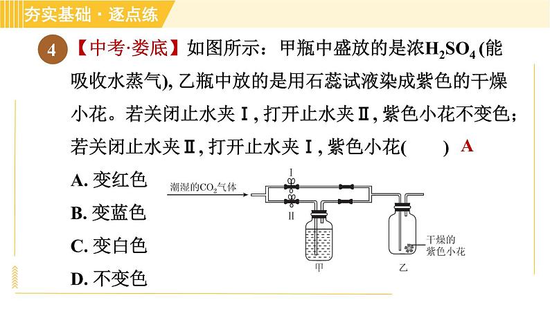 鲁教五四版八年级全一册化学习题课件 第6单元 到实验室去：二氧化碳的实验室制取与性质08