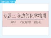 魯教五四版八年級全一冊化學習題課件 專題三 身邊的化學物質(zhì) 第3講 大自然中的二氧化碳