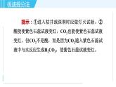 魯教五四版八年級全一冊化學習題課件 專題三 身邊的化學物質(zhì) 第3講 大自然中的二氧化碳