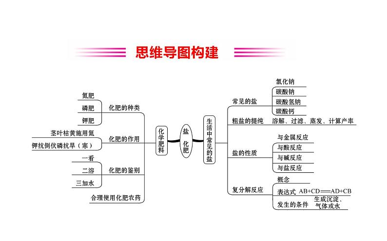 2021-2022学年人教版化学中考复习之盐，化肥课件PPT第2页