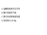 2021-2022学年人教版化学中考复习之金属活动性顺序及其应用课件PPT